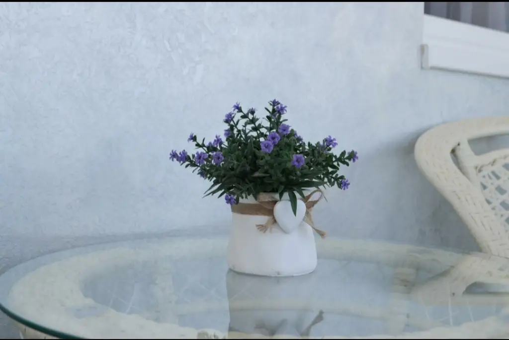 Волгоград: Апартаменты Поддубного 1