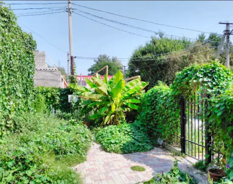 Кучугуры: Provans Guest House