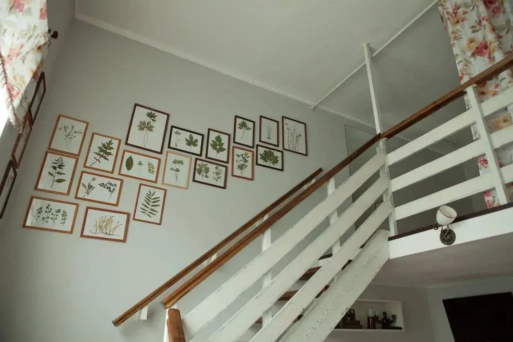 Сыктывкар: Provans Guesthouse