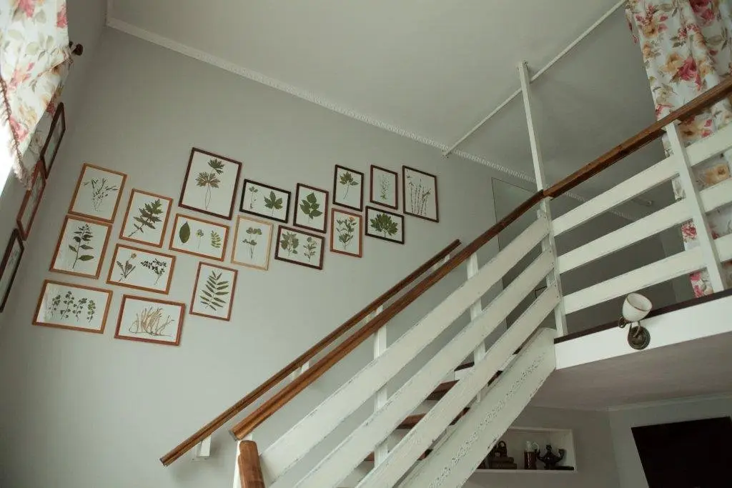 Сыктывкар: Provans Guesthouse