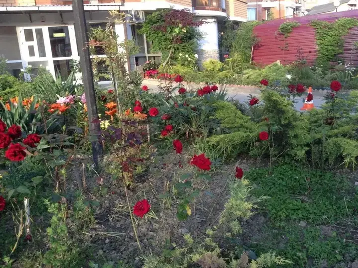 Сочи: Rajskij Ugolok Guest House
