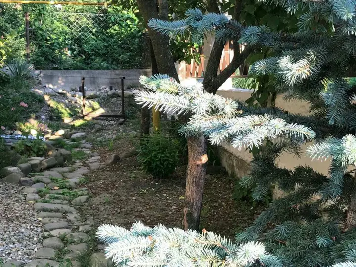 Сочи: Renessaince Guest House