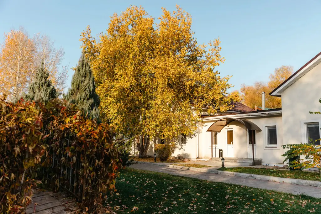 Энгельс: Rezidentsiya Mariya Guest House