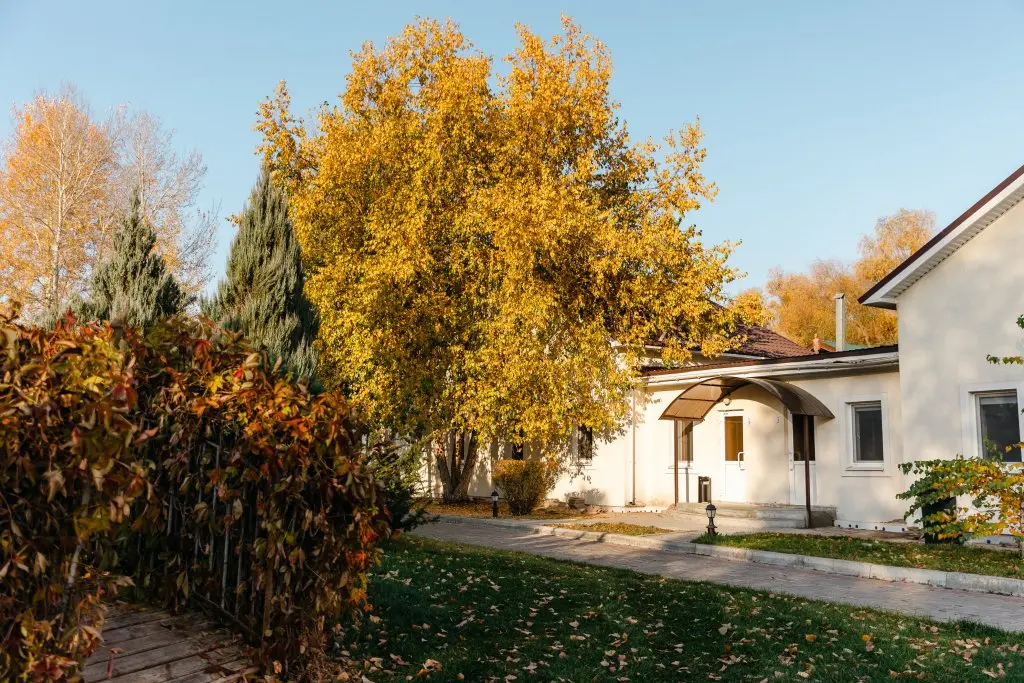Энгельс: Rezidentsiya Mariya Guest House