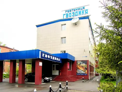Отель Гвоздика — фото 1