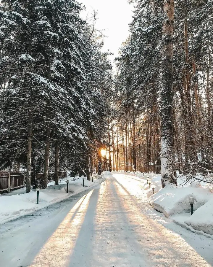 Отель Лесные Дали — фото 1
