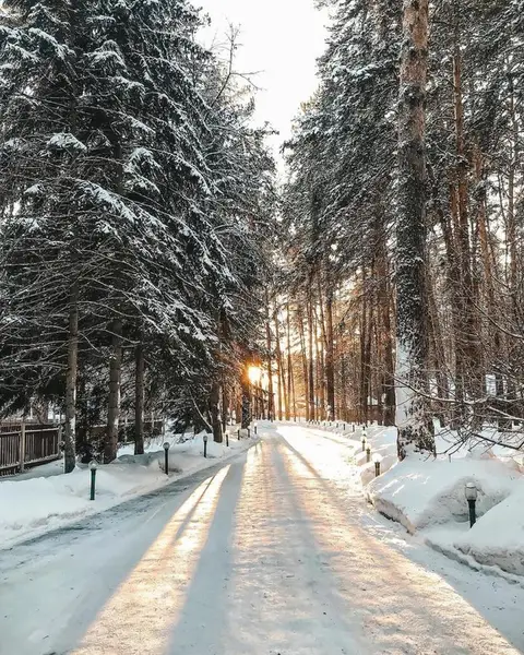 Отель Лесные Дали — фото 1