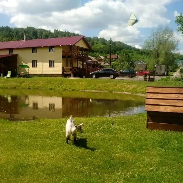 Белокуриха: Guest House Kovcheg