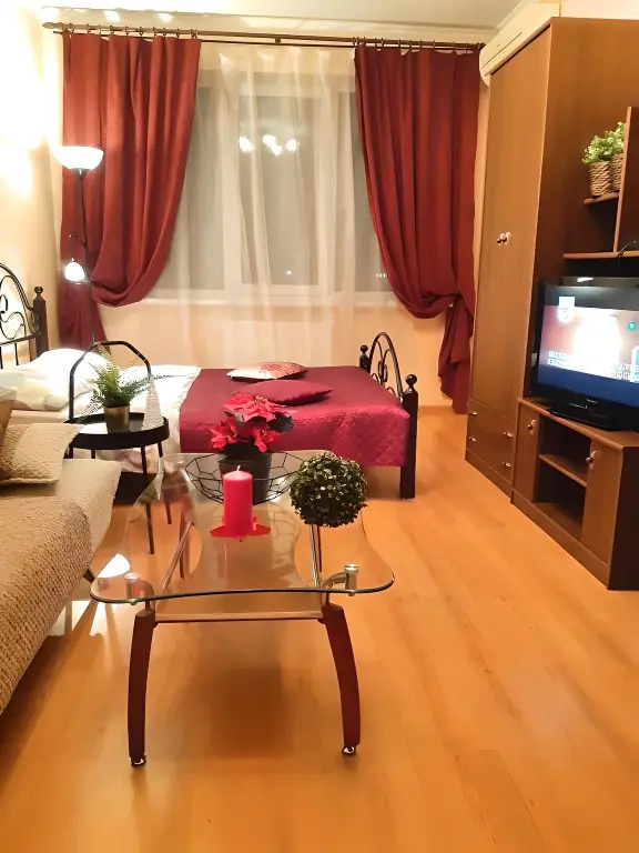 S Vidom Na Gorod Apartments — фото 1