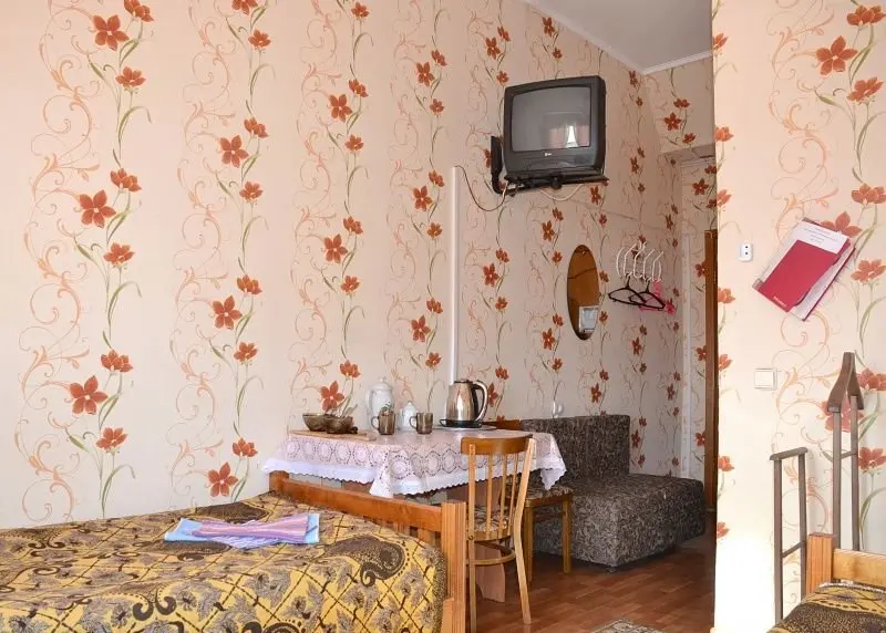 Сафоново: Сафоновотурист