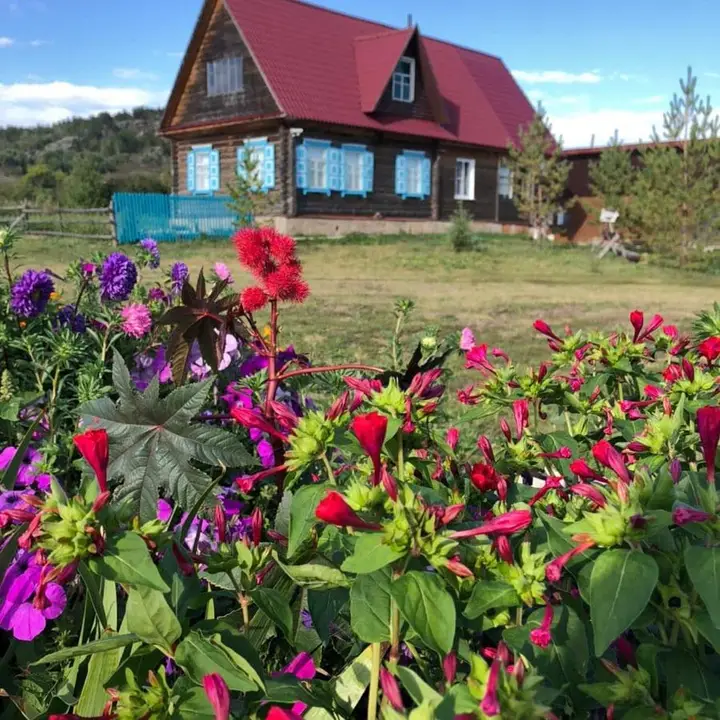 Змеиногорск: Гостевой дом «У Родника»