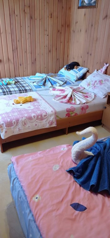 Благовещенская: Semeynaya Gostinitsa Mini-Hotel