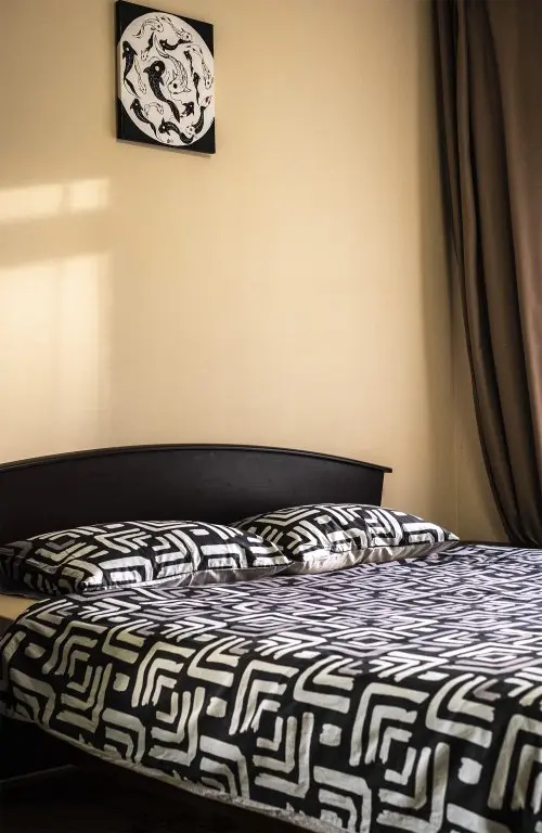 Иркутск: Апартаменты Shine Apartment 84