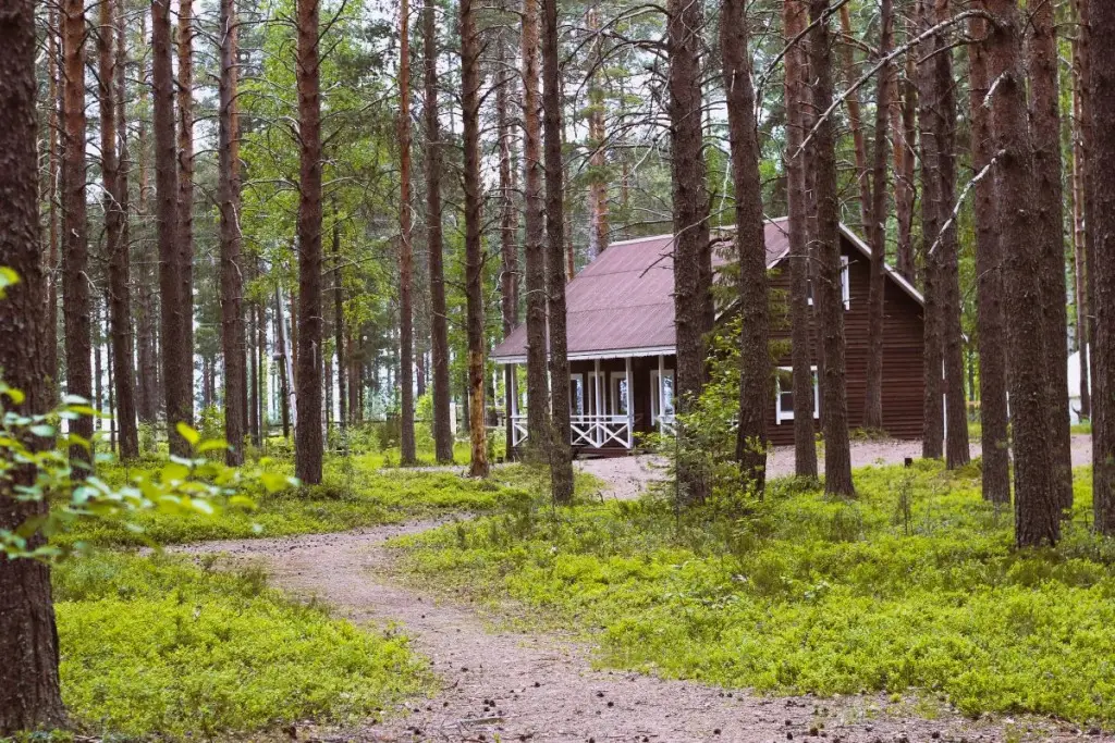 Сямозеро: Sjamozero