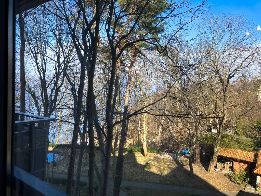 Светлогорск: Апартаменты Sunny Svetlogorsk 23 с видом на море