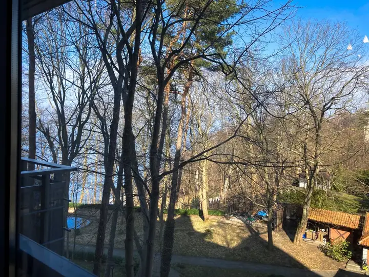 Светлогорск: Апартаменты Sunny Svetlogorsk 23 с видом на море
