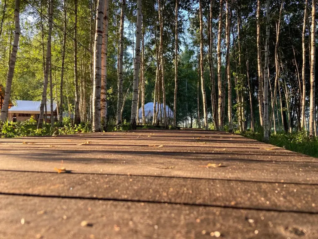 Осташков: Свобода