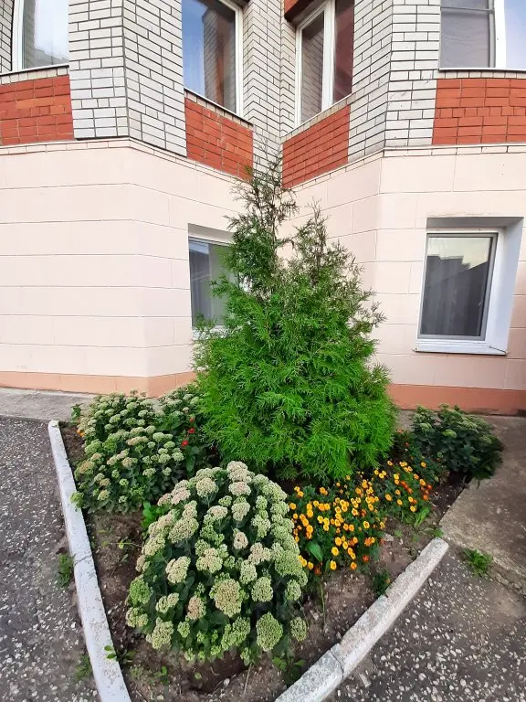Владимир: Мини-отель Sweet Home на Горной