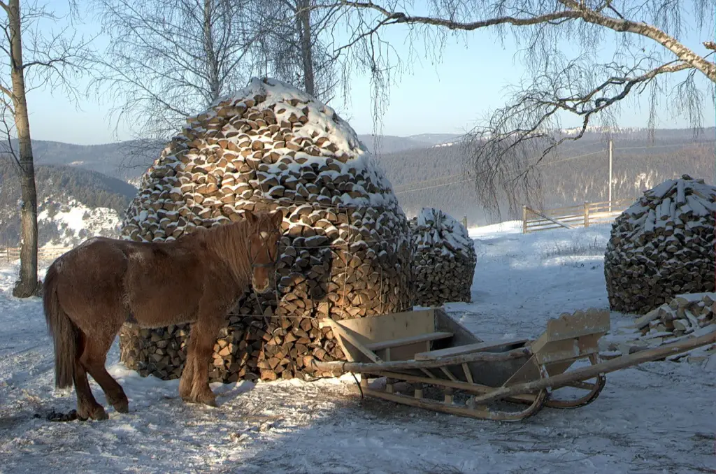 Кага: Tengri Tourist Base Guest House