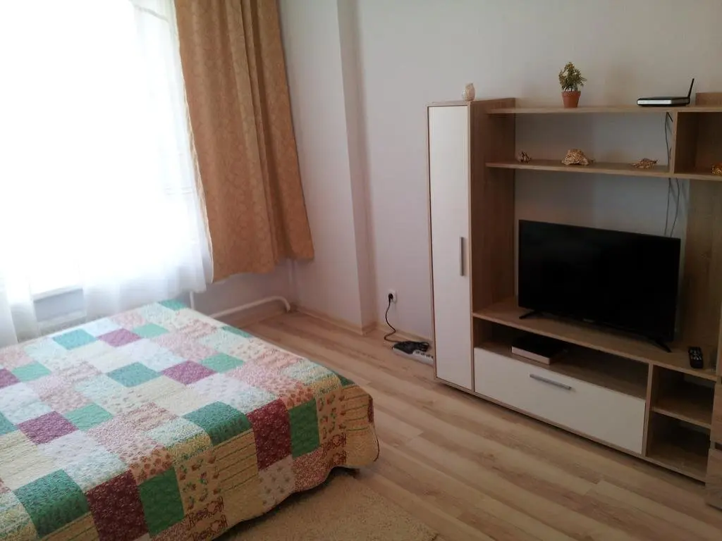 Внуково: U Aeroporta Apartments