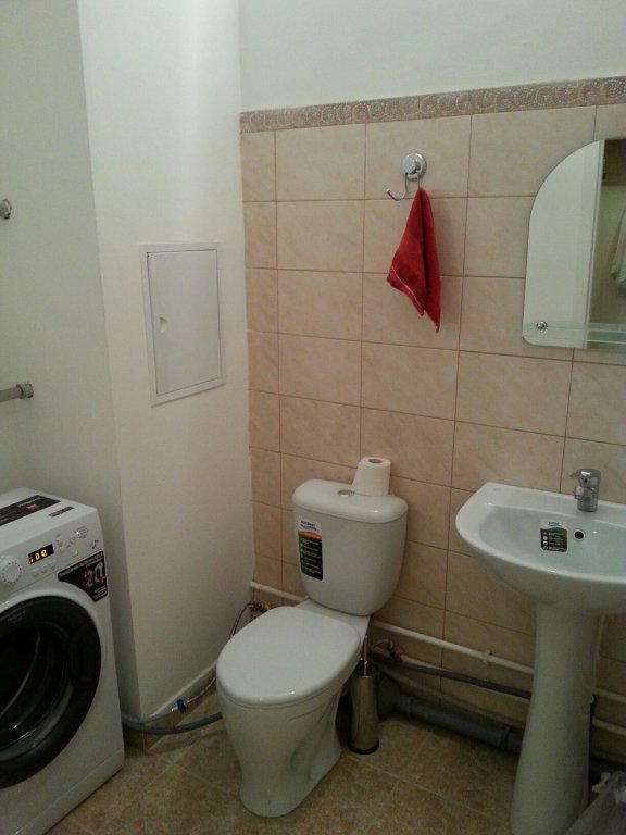 Внуково: U Aeroporta Apartments