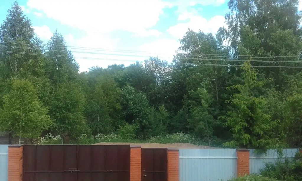 Носово: Гостевой Дом Уют