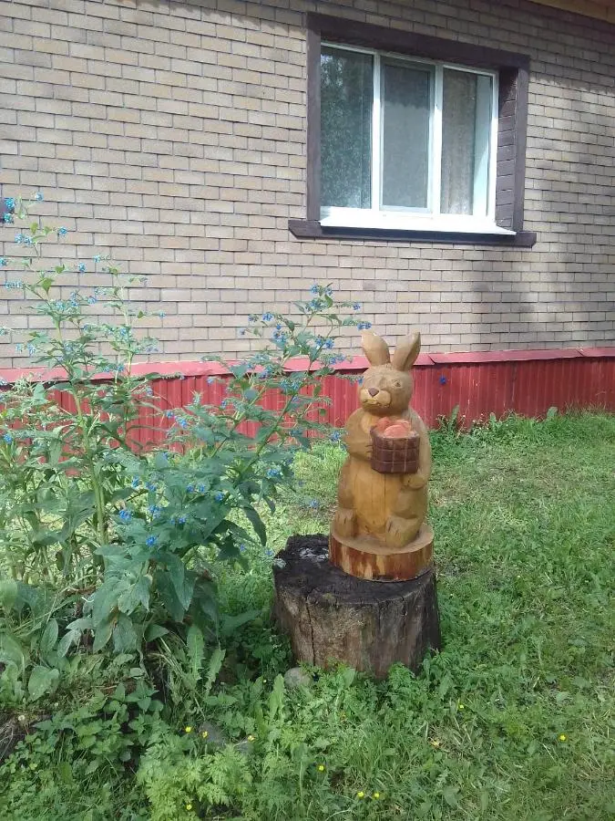 Няндома: Спутник
