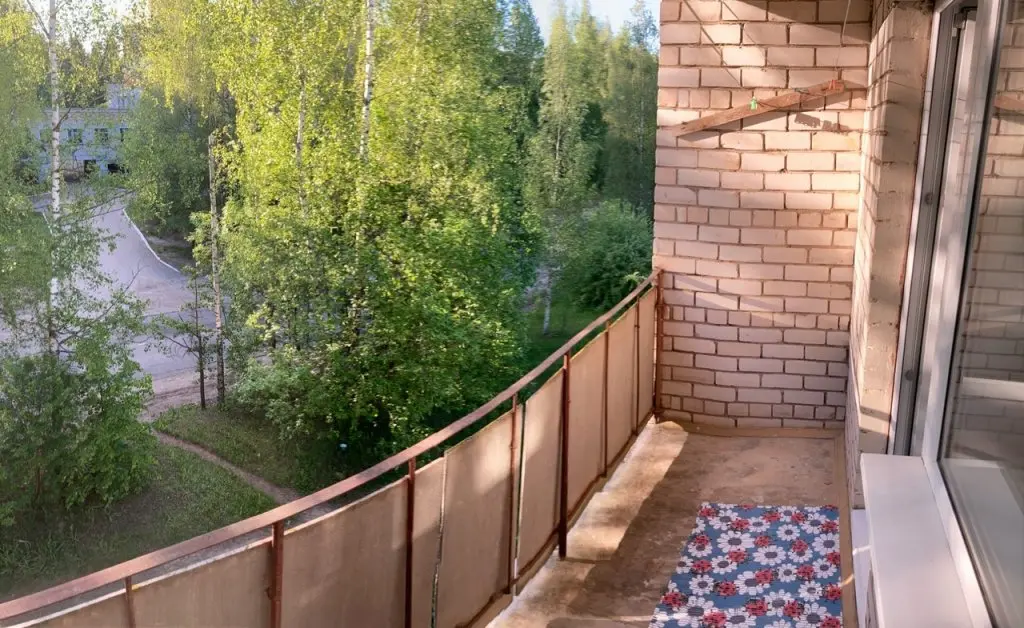 Пушкинские горы: Апартаменты в центре Пушкиногорья