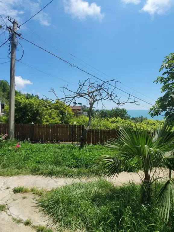 Сочи: Дом Village del Mare