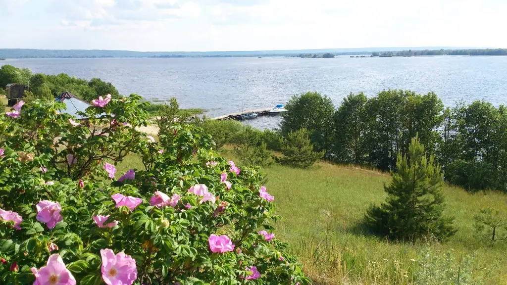 Разнежье: Volshebnaya Zavod' Guest house