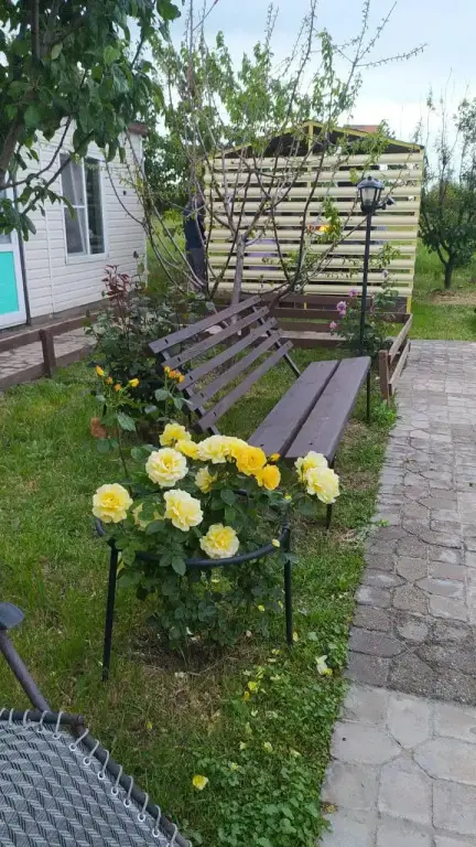 Воронцовка: Звезда Азова
