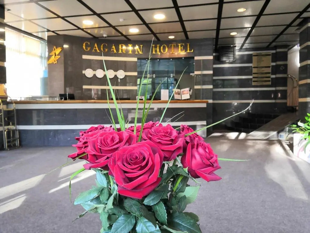 Южно-Сахалинск: Отель Гагарин