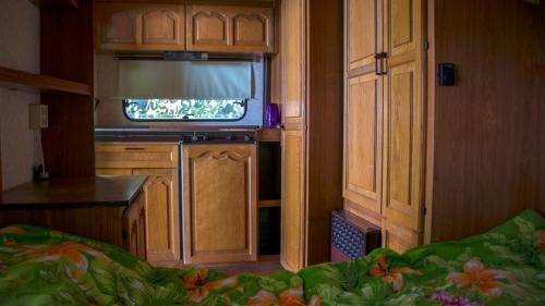 Углич: Campsite Perepelinyi ostrov