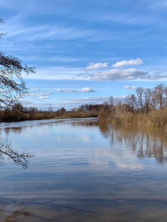 Семибратово: Коттедж Дом в Бородино