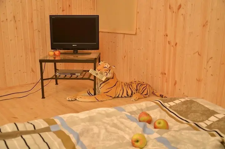 Ростов Великий: Markovo Holiday Home