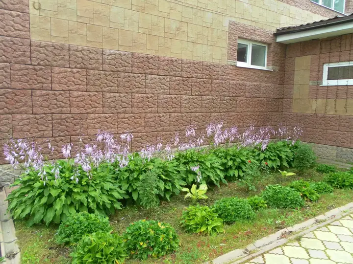 Рыбинск: Neolit Guest house