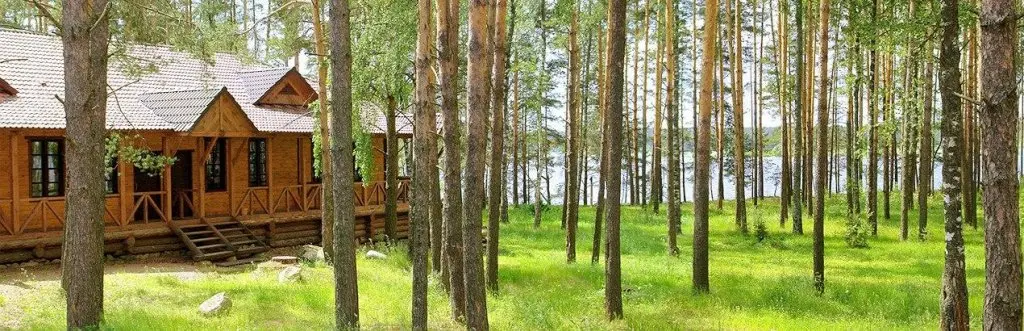 Мышкин: Мышкино подворье (Маус Инн)