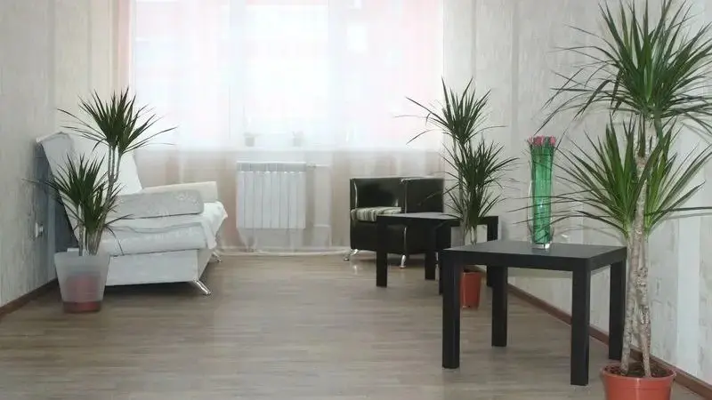 Уфа: Меблированные комнаты Planeta