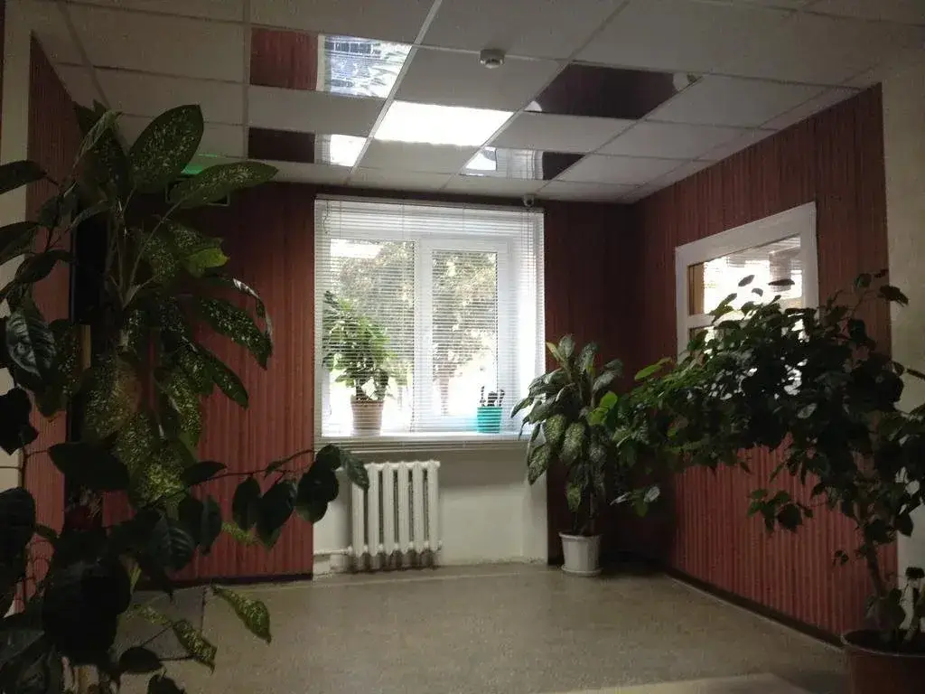 Чебоксары: Центр