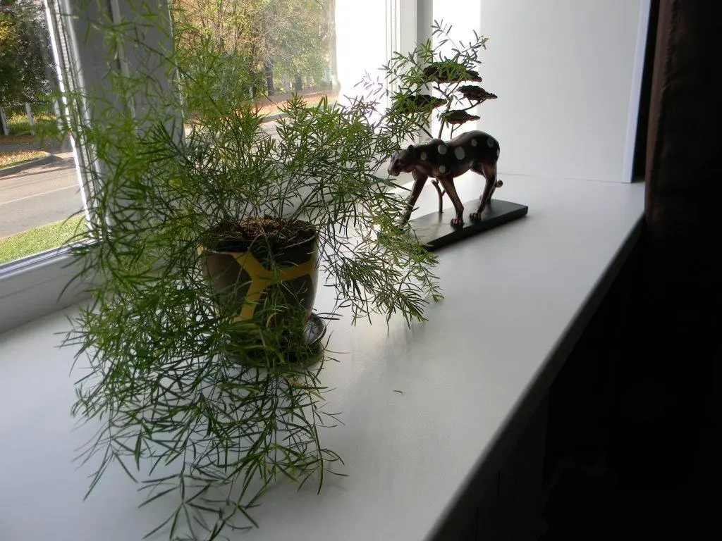 Чебоксары: Hostel Shirman