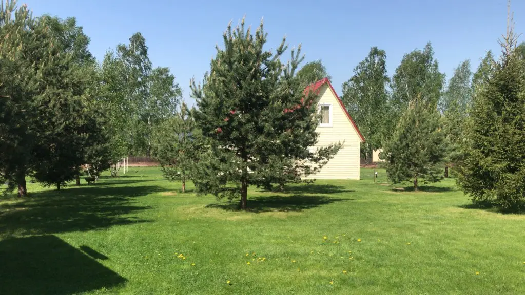 Дубна: Бунгало Дункан