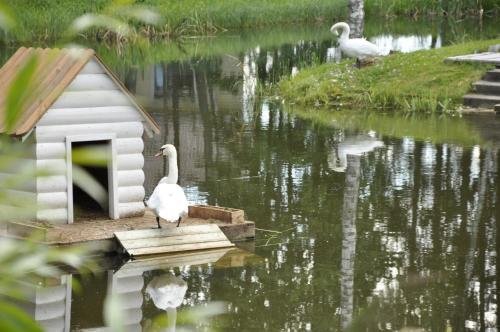 Старое Почвино: Eco Park