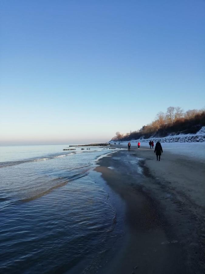 Зеленоградск: АмстерДОМ