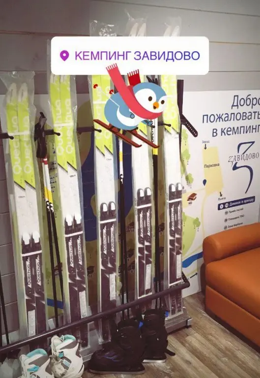 Вараксино: Zavidovo Camping