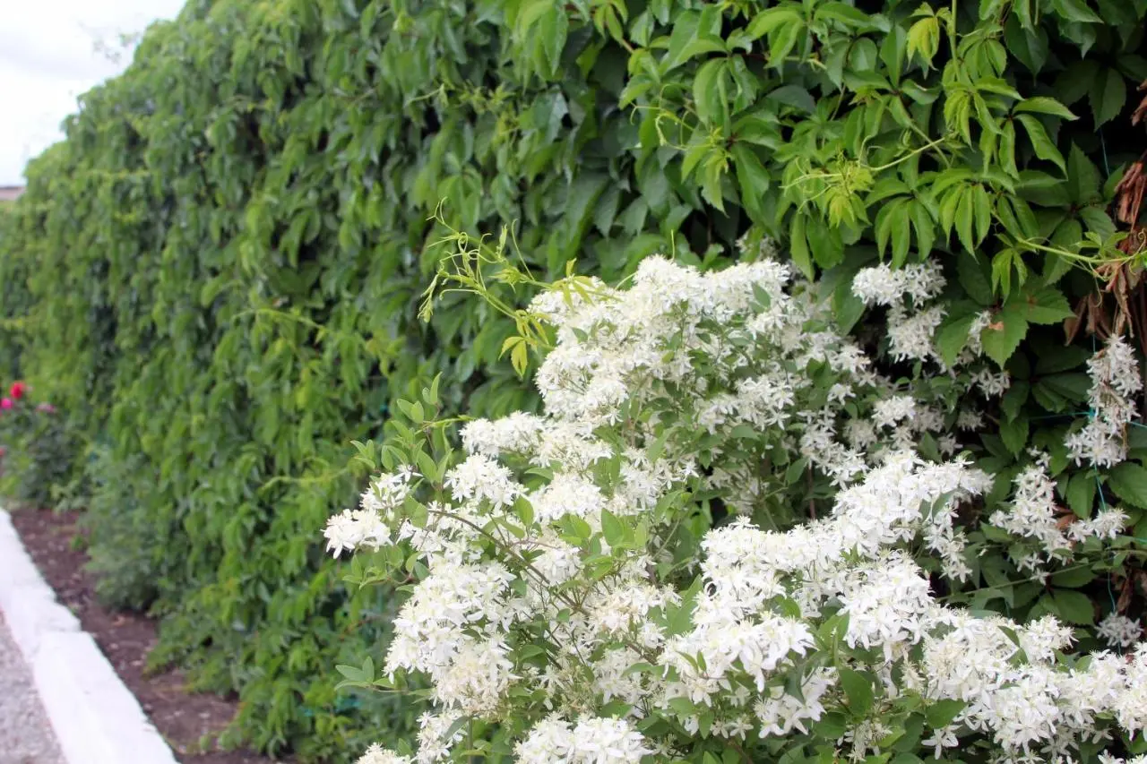 Сибай: Гостевой Дом Башкирия