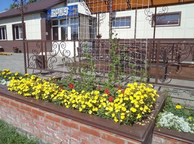Романово: Бриз