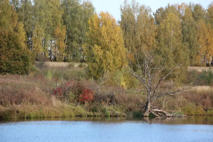 Настасьино: ЭКО Отель Настасьино Хуторок