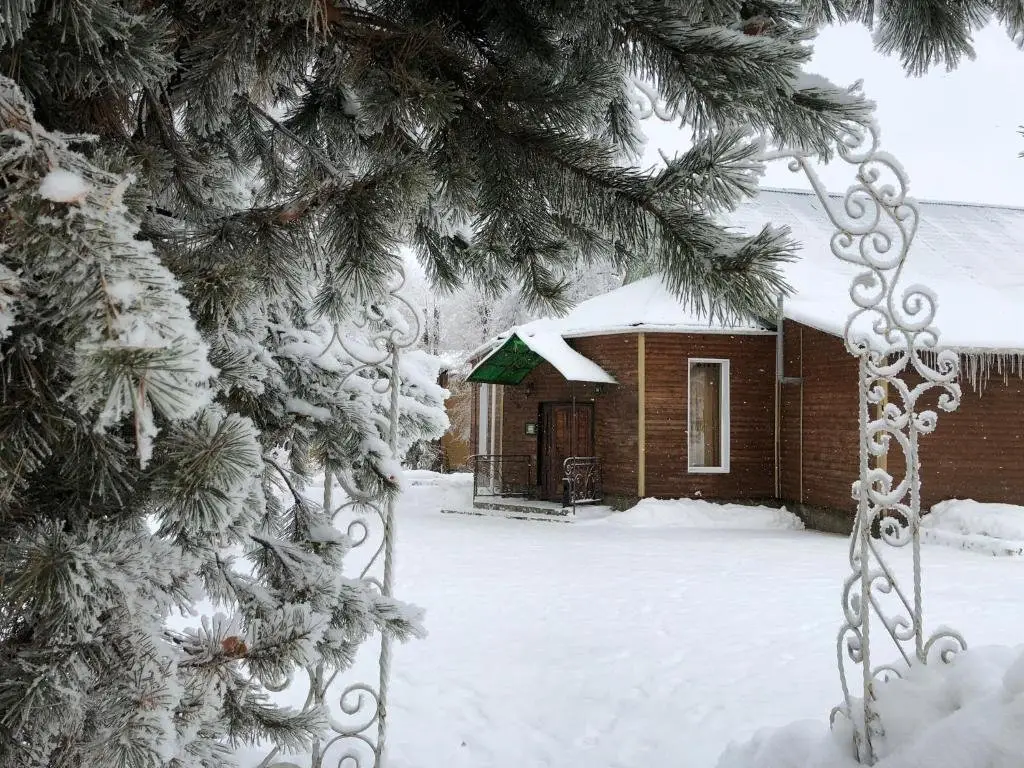 Новомосковск: Русский лес