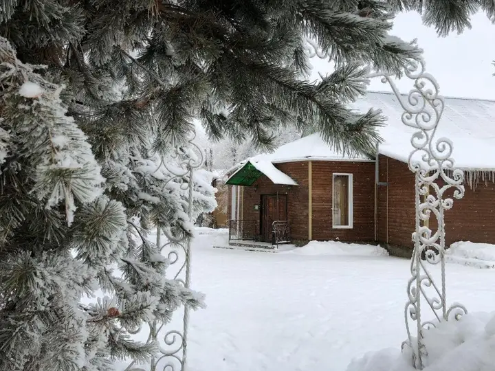 Новомосковск: Русский лес