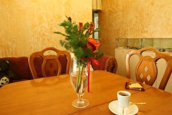 Иркутск: Hotel Bichaikhanov Palace